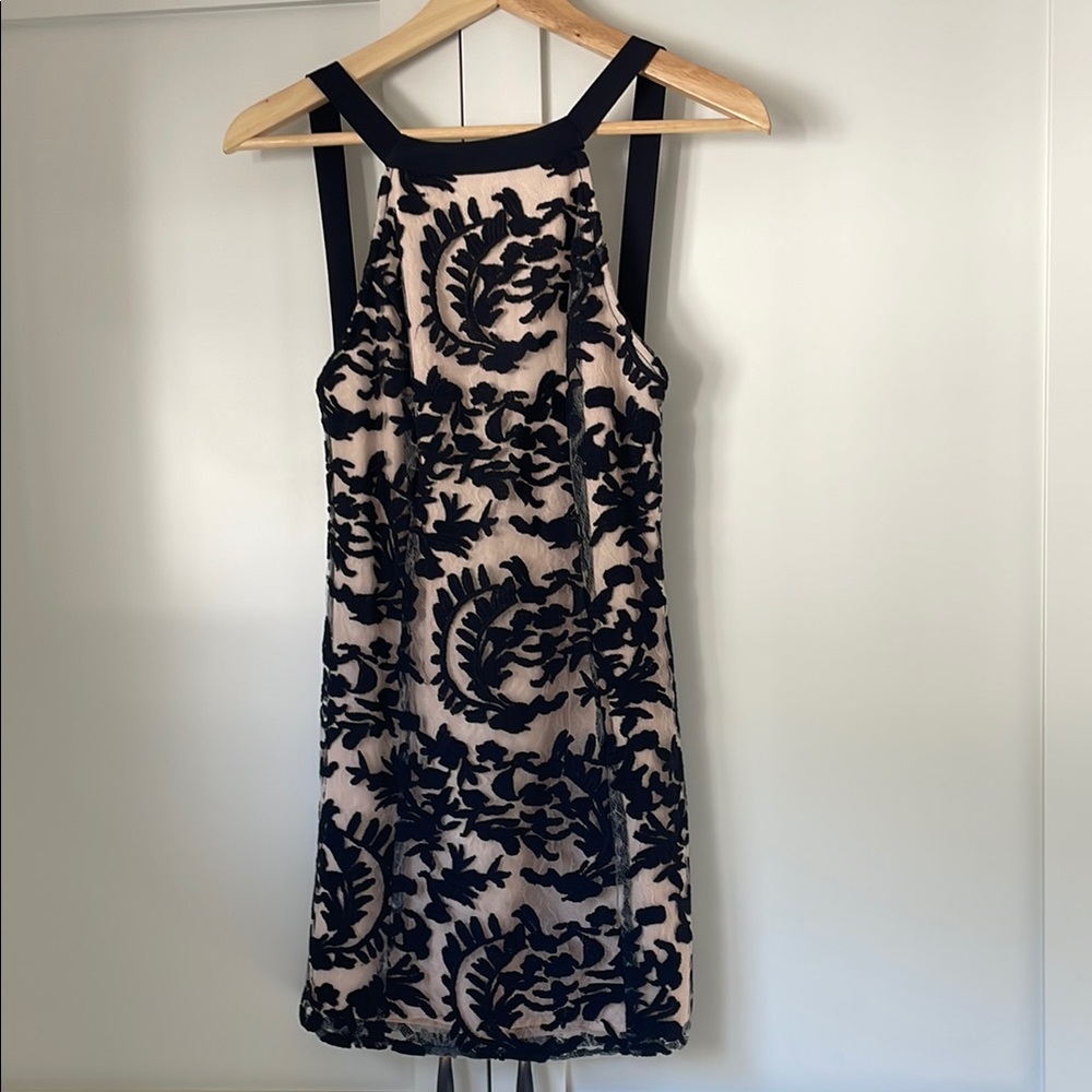 NBD Elegant Black and Cream Dress